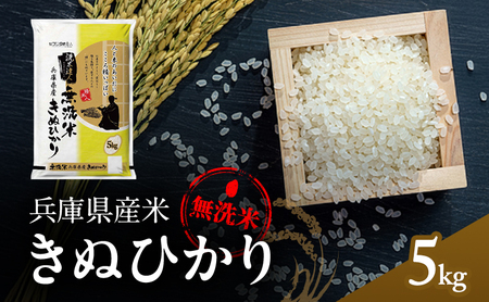 無洗米 キヌヒカリ 5kg 米 お米 精米 白米 銘柄米 ブランド米 5キロ 産地直送 兵庫県産 兵庫 兵庫県 小野市