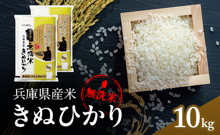 無洗米 キヌヒカリ 10kg ( 5kg ×2袋) 小分け 米 お米 精米 白米 銘柄米 ブランド米 10キロ 産地直送 兵庫県産 兵庫 兵庫県 小野市