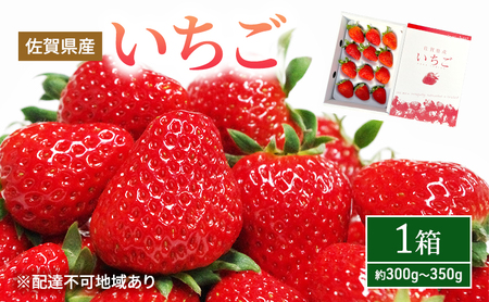 先行予約 いちご 1箱 （約300g～350g） 佐賀県産 イチゴ 苺 果物 フルーツ デザート ※配送不可:北海道 