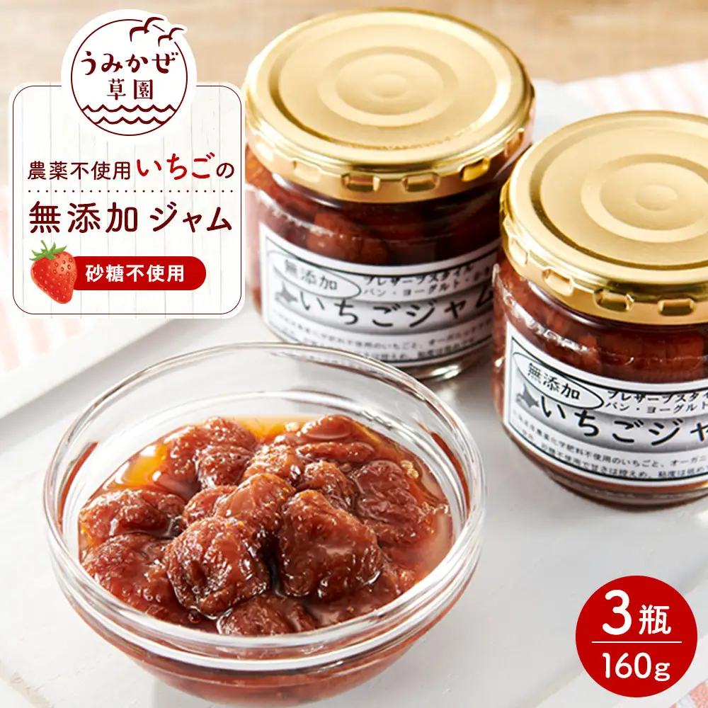 いちごの無添加ジャム（農薬不使用栽培・砂糖不使用）160g×3瓶