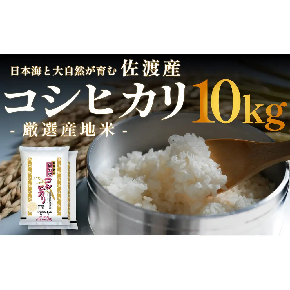 佐渡産コシヒカリ 10kg (5kg x 2) 令和7年産