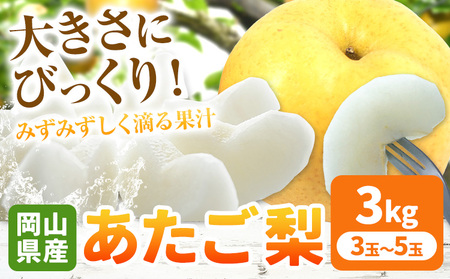 【2026年発送先行予約】あたご梨  約3kg【配送不可地域あり】