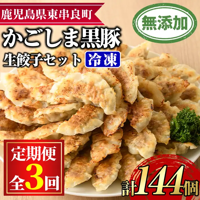 【0365103b】＜定期便・全3回＞鹿児島黒豚生餃子48個セット(12個入×4パック×3回・計144個) 黒豚 豚肉 ぶた肉 餃子 ギョウザ ぎょうざ 惣菜【鹿児島ますや】