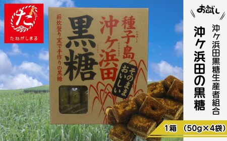 【たねがしまる4000】 種子島 伝統製法 無形文化財 沖ヶ浜田 黒糖 　NFN911【100pt】 