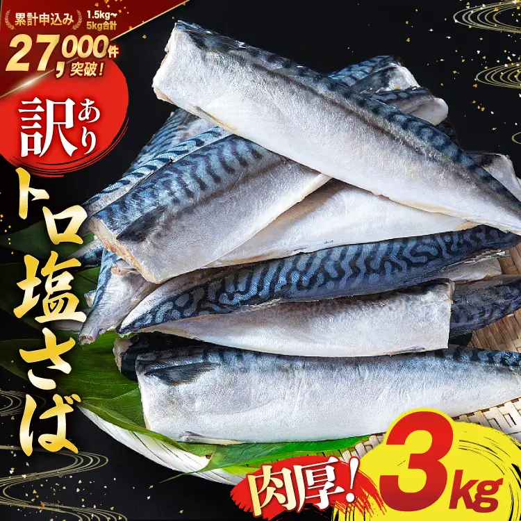 訳あり 塩サバ 3kg [宮城県 気仙沼市 20564146] サバ