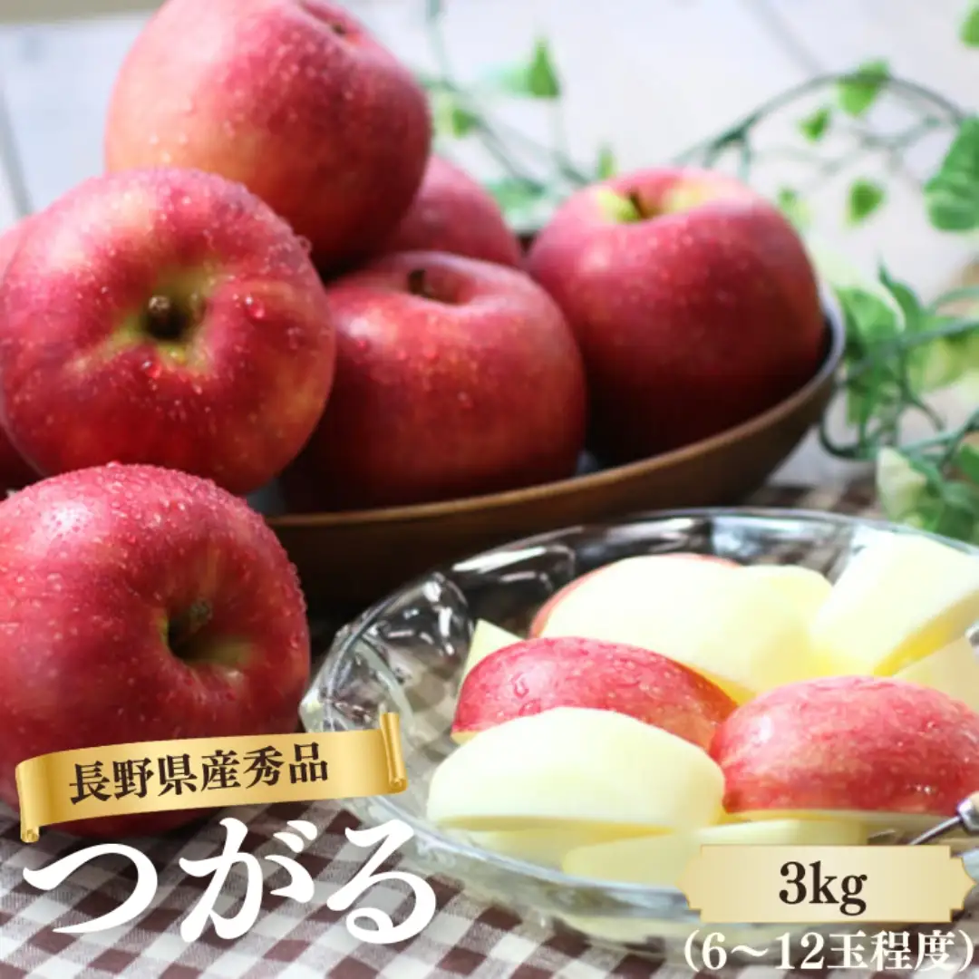MS04 りんご つがる（長野県産秀品） 約3kg / 2026年9月上旬～9月下旬頃 配送予定 // 南信州産 長野県 早生りんご りんご リンゴ 林檎 つがる 贈答 果物 フルーツ
