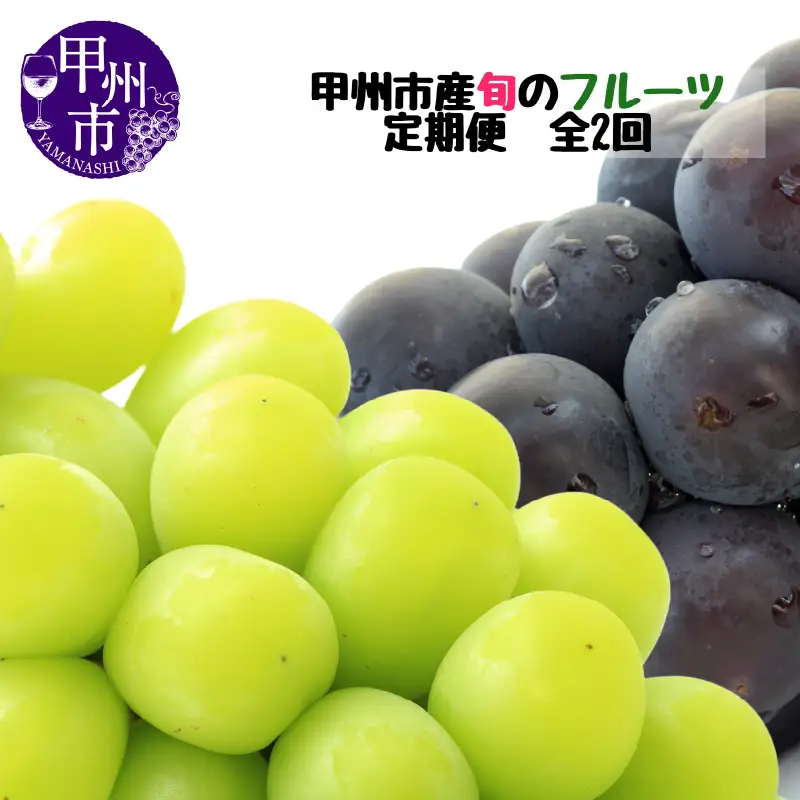 【定期便】甲州市産厳選旬のフルーツ定期便全2回（巨峰・シャインマスカット）【2026年発送】（MG）B19-481 巨峰 シャインマスカット フルーツ