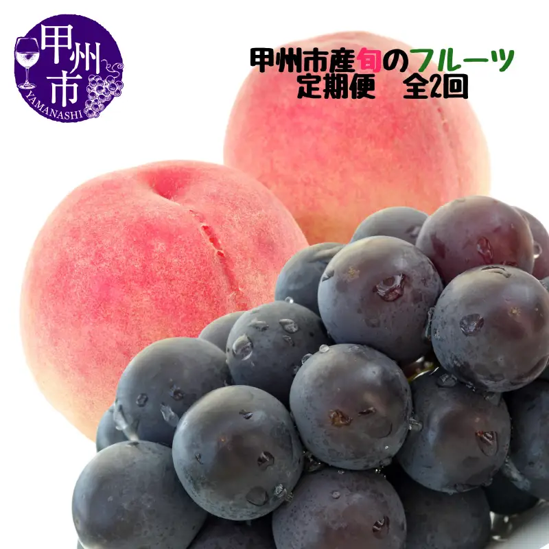 【定期便】甲州市産厳選旬のフルーツ定期便全2回（桃・巨峰）【2026年発送】（MG）B18-481  桃 フルーツ