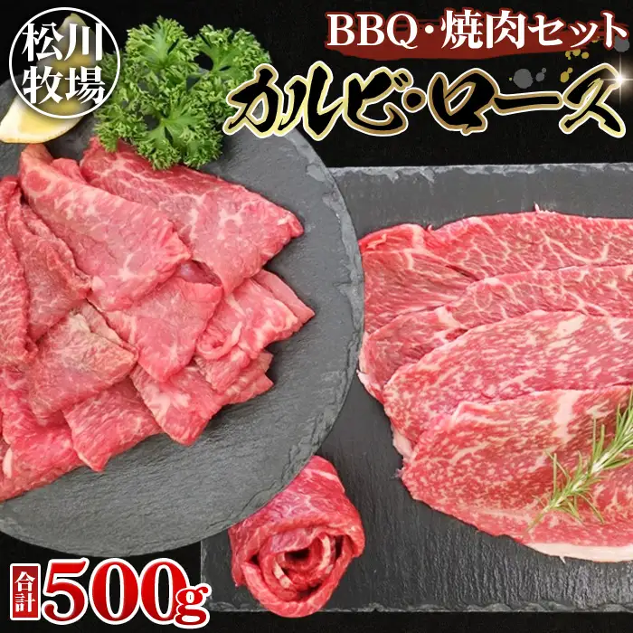 松川牧場のこだわり牛肉　BBQ・焼肉セット 500g ロース部位から1パック カルビ部位から1パックお届け 松川牧場 No.031