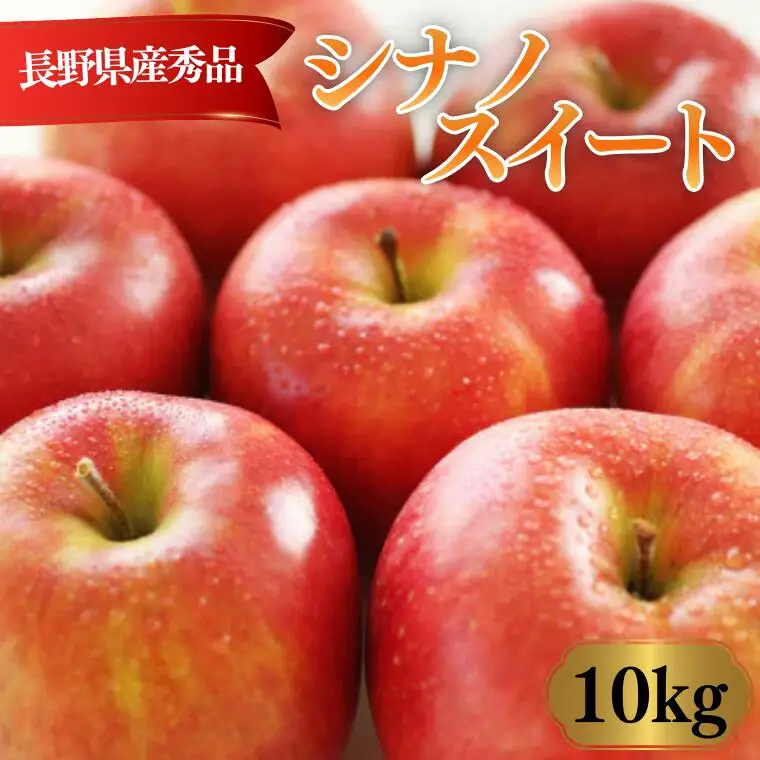 MS10 りんご シナノスイート（長野県産秀品） 約10kg / 2026年10月中旬～11月中旬頃 配送予定 // 長野県 南信州 贈答 りんご リンゴ 林檎 シナノスイート