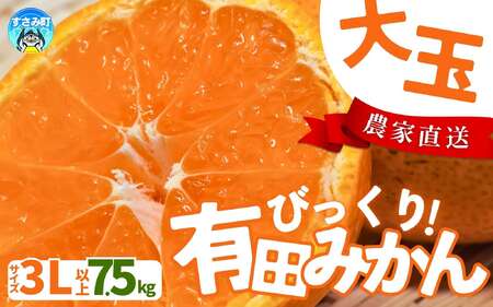 【農家直送】有田みかん  大玉3L以上 約7.5kg 有機質肥料100% ※2026年11月～12月に順次発送予定(お届け日指定不可)【nuk158D】