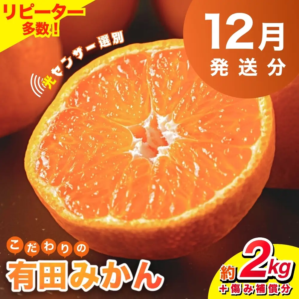 【2026年12月発送】【家庭用】こだわりの有田みかん 約2kg（傷み補償分なし）  ※北海道・沖縄・離島配送不可【nuk159-12A】