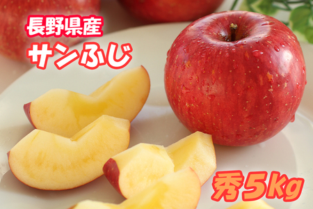 MS15 りんご サンふじ（長野県産秀品） 約5kg / 2026年11月下旬～12月中旬頃 配送予定 // 長野県 南信州 さんふじ サンフジ ふじりんご リンゴ 林檎 贈答 ふじ