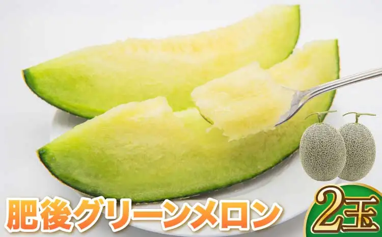 【先行予約】 肥後グリーン メロン 2玉 藤山農園【2026年7月上旬～7月下旬頃順次発送予定】熊本県産メロン 宇城市産メロン 肥後グリーンメロン ジューシーメロン 緑肉メロン