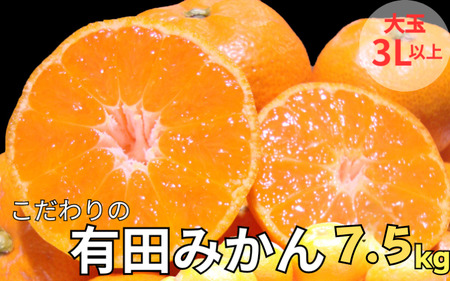 有田みかん　約7.5kg  大玉3L以上　有機質肥料100%　※2026年11月～12月に順次発送(お届け日指定不可)/ミカン 蜜柑 柑橘 フルーツ くだもの 果物 早生 温州 有田 【nuk158D】