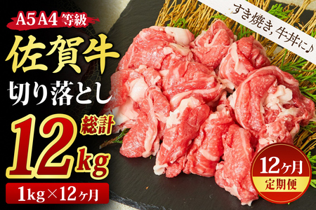 【スピード発送】【12回定期便】切り落とし 1000g (500gx2)A4A5 すき焼き 牛丼 (H085196)
