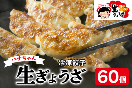ハナちゃん生ぎょうざ 冷凍餃子 60個セット [0093]