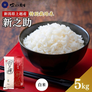 令和7年産 新潟県上越産 特別栽培米 新之助  5kg 5キロ 精米 しんのすけ おおた農場 上越市
