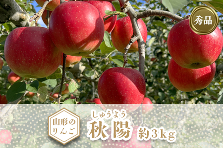 【2026年発送】「秀品」山形のりんご（秋陽）約3kg_H167(R8)