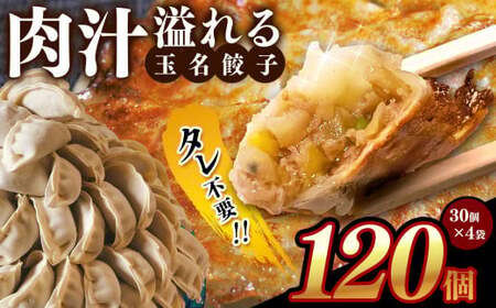 タレ不要? 肉汁 溢れる『 玉名餃子 』 120個 （30個×4袋）| 餃子 ぎょうざ お手軽 小分け 冷凍 冷凍食品 おかず 豚肉
