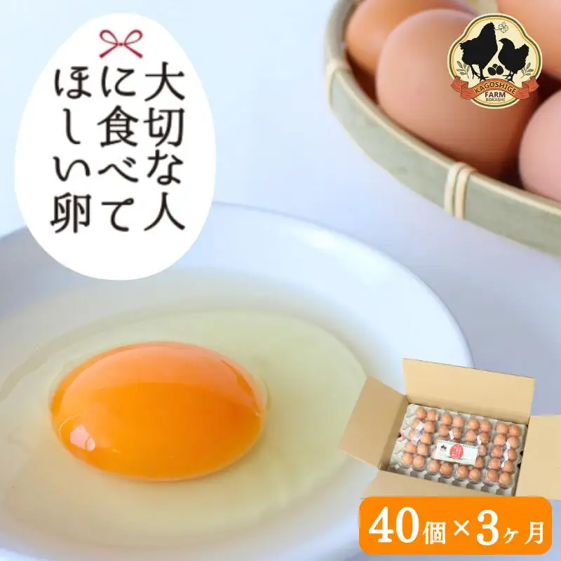 【3カ月定期便】卵 大切な人に食べてほしい卵　40個×3回 【kag009-tk】