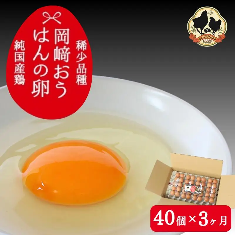 【3カ月定期便】希少品種　岡崎おうはんの卵 40個×3回【冷蔵配送】 / 田辺市 卵 たまご 有精卵 純国産鶏 鶏卵 平飼い お取り寄せ 卵かけごはん 和歌山県 【kag010-tk】
