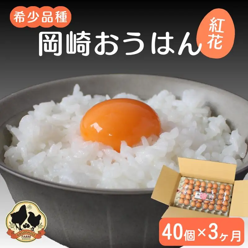 【3カ月定期便】希少品種　岡崎おうはん 紅花の卵 40個×3回【冷蔵配送】 / 田辺市 卵 たまご 有精卵 純国産鶏 鶏卵 平飼い お取り寄せ 卵かけごはん 和歌山県 【kag011-tk】