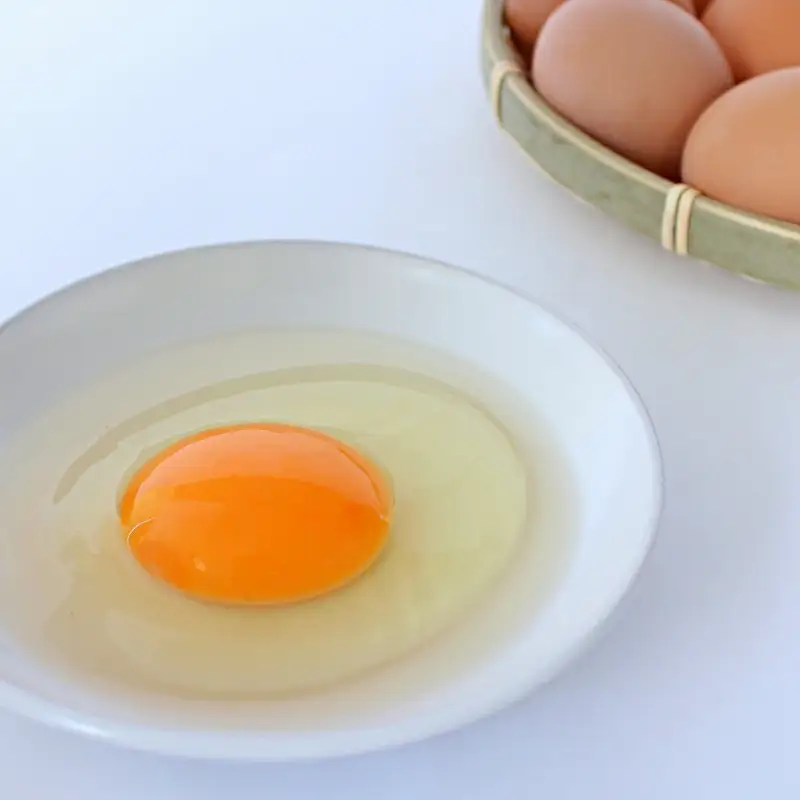 【3カ月定期便】こだわり卵 食べ比べセット 40個×3回【冷蔵配送】 / 岡崎おうはん 純国産鶏 卵 たまご 鶏卵 平飼い 紅花 お取り寄せ 卵かけごはん 和歌山県 田辺市 【kag012-tk】