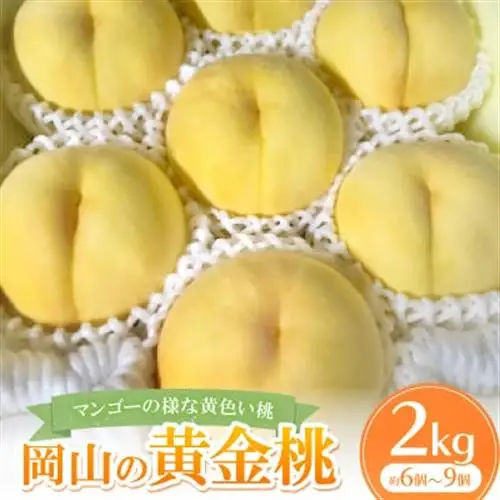 【先行予約・2026年8月上旬より発送予定】岡山県産・マンゴーの様な黄色い桃・黄金桃(2kg箱)_果物・フルーツ もも  モモ 桃_【配送不可地域：離島】【1294300】
