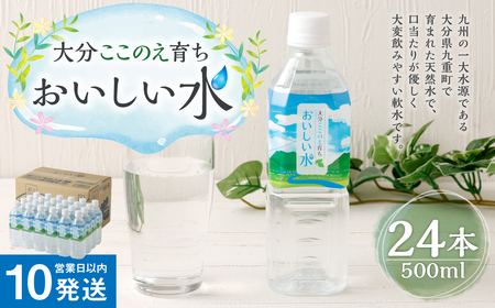 【10営業日以内発送】大分 ここのえ育ち おいしい 水 500ml×24本