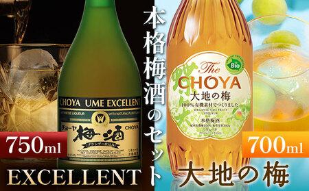 THECHOYA大地の梅 700ml EXCELLENT 750ml 計2本セット