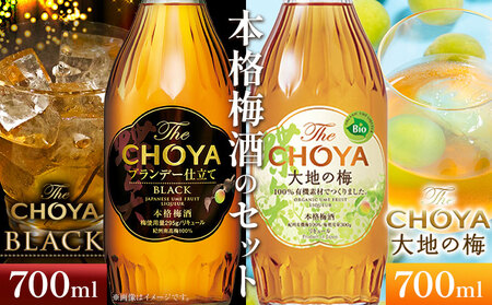 The CHOYA BLACK 700ml The CHOYA 大地の梅 700ml 計2本
