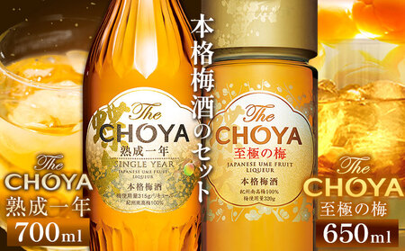 TheCHOYA 熟成一年700ml TheCHOYA 至極の梅650ml 計2本