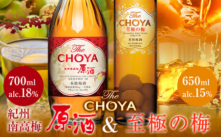 THE CHOYA 紀州南高梅原酒 700ml 至極の梅 650ml 計2本
