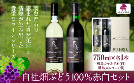 自社畑ぶどう100%赤白セット 750ml×2本 