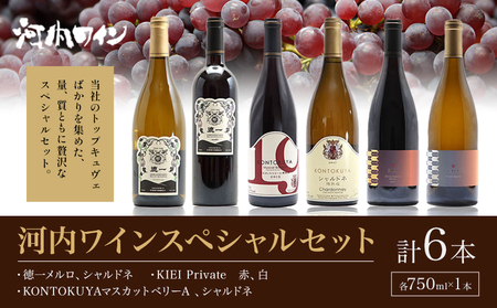 河内ワイン スペシャルセット 徳一メルロ シャルドネ KONTOKUYAマスカットベリーA シャルドネ KIEI Private 赤 白 各750ml×1本 計6本 