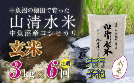 【令和8年産 先行予約】【定期便／全6回】玄米3kg 新潟県魚沼産コシヒカリ「山清水米」