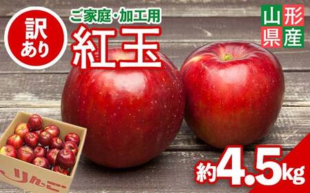 FYN6-148 りんご ご家庭 加工用 山形県産 紅玉 約4.5kg りんご 2026年先行予約