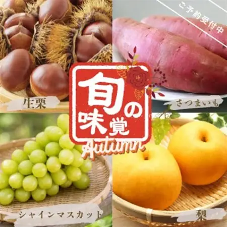 【先行受付/2026年秋発送分】旬のくだもの詰め合わせ　-シャインマスカット・梨・さつまいも・栗-_フルーツ 詰め合わせ シャインマスカット 梨 さつまいも 栗_【配送不可地域：離島・沖縄県】【1337457】