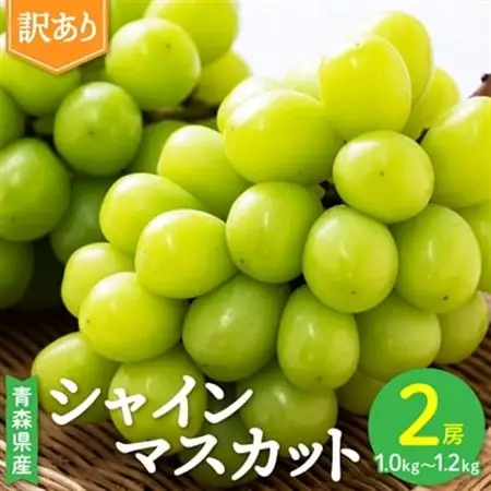 2026年発送【訳あり】青森市産シャインマスカット 2房(1kg以上)_果物・フルーツ ぶどう・マスカット  ブドウ 葡萄 _【配送不可地域：離島・沖縄県】【1492539】