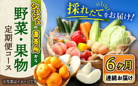 【6回定期便】シュシュの直売所から野菜・果物定期便コース / 便利な定期便 バラエティ定期便 野菜 やさい 定期便 果物 くだもの フルーツ ふるーつ 産地直送 フルーツ定期便 / 大村市 / おおむら夢ファームシュシュ[ACAA165]