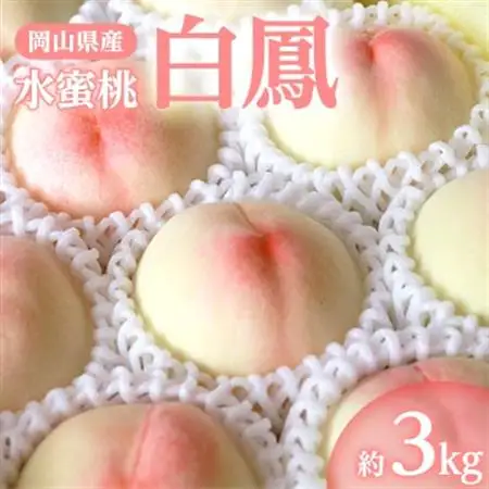 岡山県産「白鳳(水蜜桃)」約3kg|7月上旬頃～順次発送【配送不可地域：離島】【1488991】