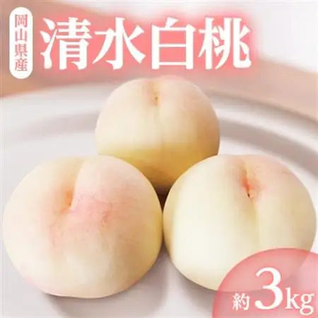 岡山県産「清水白桃」約3kg|7月中旬頃～順次発送【配送不可地域：離島】【1488992】