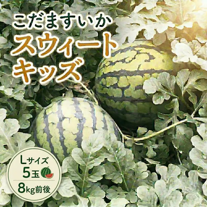 【 地下水100％栽培 】 こだますいか 「 スウィートキッズ 」 5玉入り 先行予約 スウィートキッズ すいか スイカ 小玉スイカ こだまスイカ 西瓜 フルーツ 果物