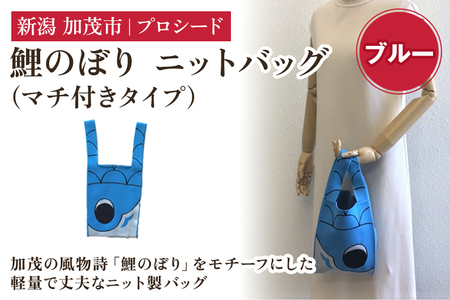 鯉のぼり ニットバッグ（マチ付きタイプ）【ブルー】《タテ42×ヨコ20×マチ7（cm） ※持ち手込み》