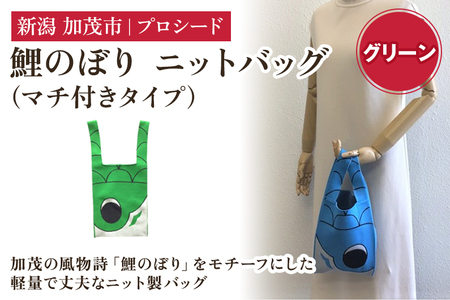鯉のぼり ニットバッグ（マチ付きタイプ）【グリーン】《タテ42×ヨコ20×マチ7（cm） ※持ち手込み》