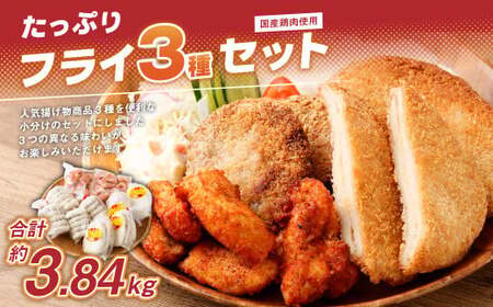 ＜国産鶏肉使用 フライ3種セット＞2か月以内に順次出荷 計約3.84kg 計10パック チーズインチキンフライ ネギみそメンチカツ ささみのピリ辛揚げ【c1157_na】
