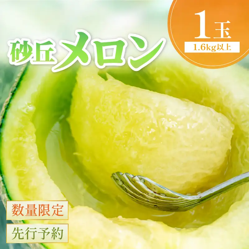 メロン／砂丘メロン 2L以上 1玉