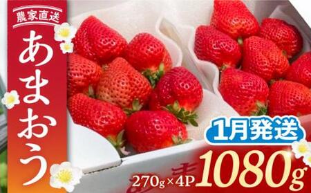 【先行予約】【1月発送】農家直送 あまおう 1080g(270g以上×4P)土耕栽培[VAB004]果物 アマオウ