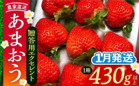 【先行予約】【1月発送】あまおう 贈答用 エクセレント 430g以上×1箱 [VAB009]果物 いちご あまおう